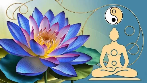 Blue Lotus Flowers