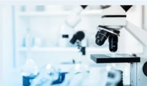 Lipophilic Efficiency and Drug-likeness 
